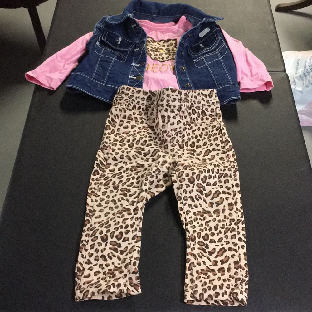 Leopard set